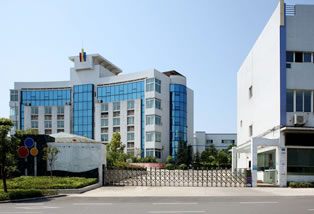 公司橡胶